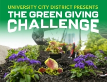 The Green Giving Challenge header image of plants