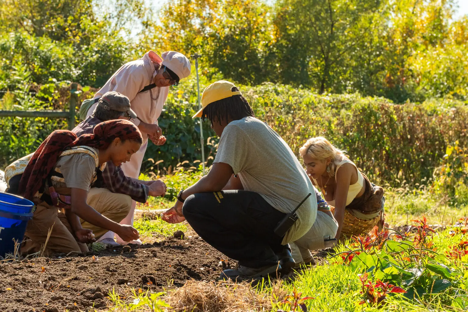A group of people planting in a garden on a sunny day