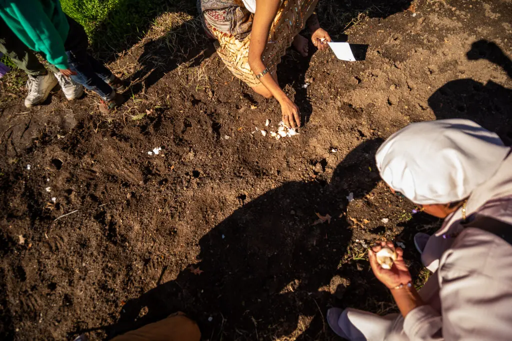 People planting bulbs in the dirt in a garden