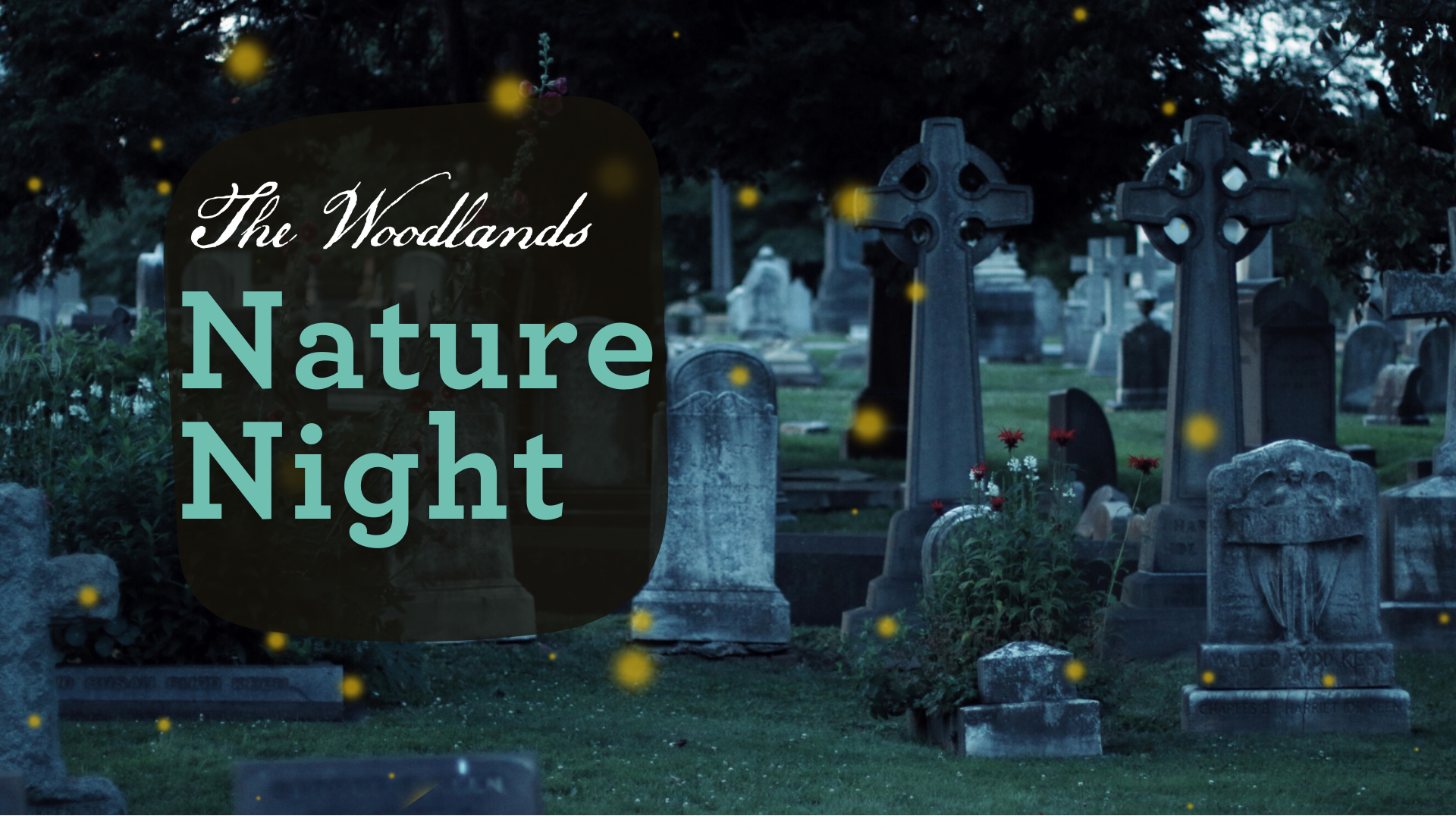 Background image of a cemetery at dusk. White text reads "The Woodlands Nature Night"