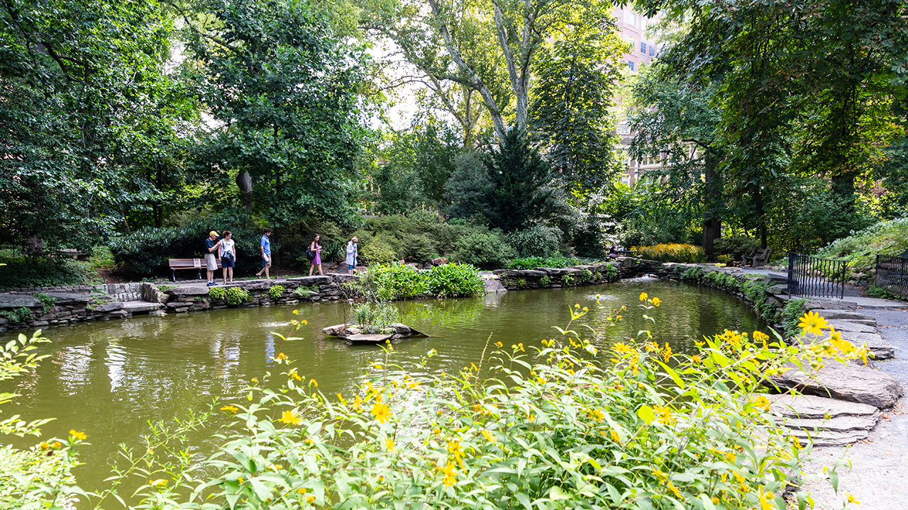 Penn University outdoor green space at the biopond