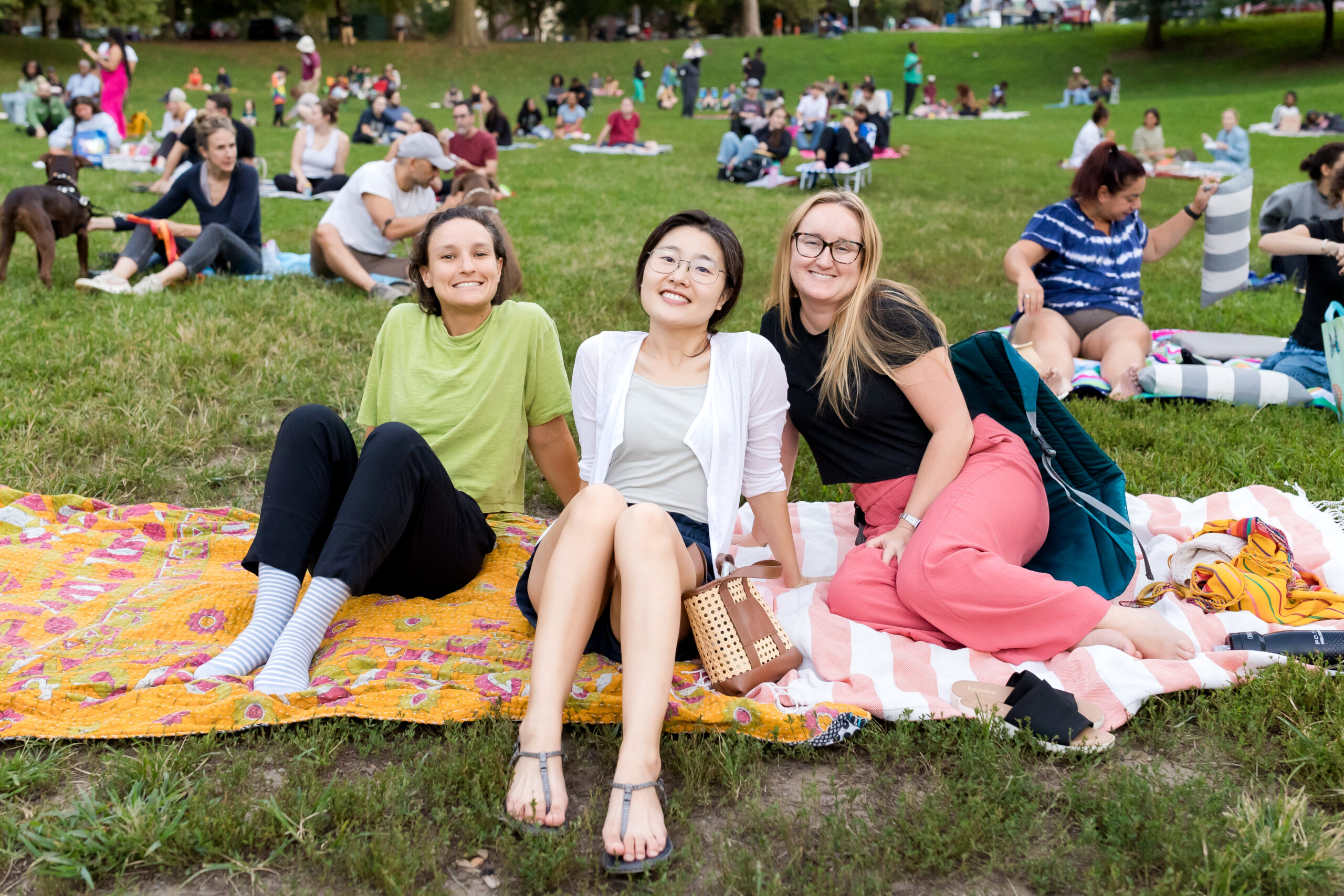 A crowd enjoys an outdoor movie at Movies in Clark Park.