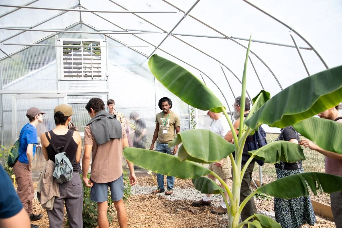 A group of people talking and socializing in a large, airy greenhouse