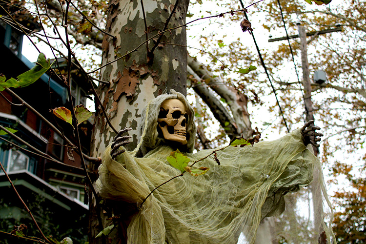 Halloween in West Philly