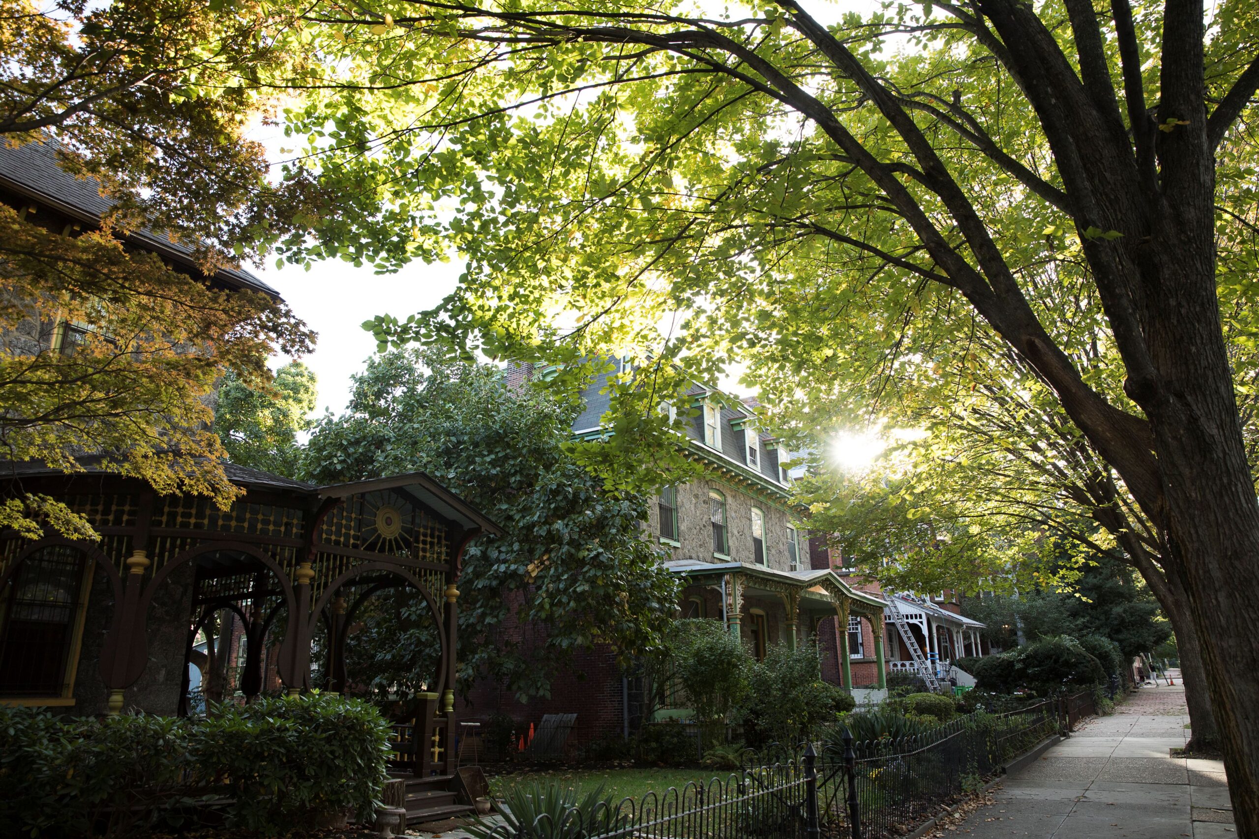Tree coverage in West Philadelphia