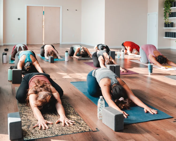 7 people are in a yoga studio with wooden floors, they are in the downward dog position.